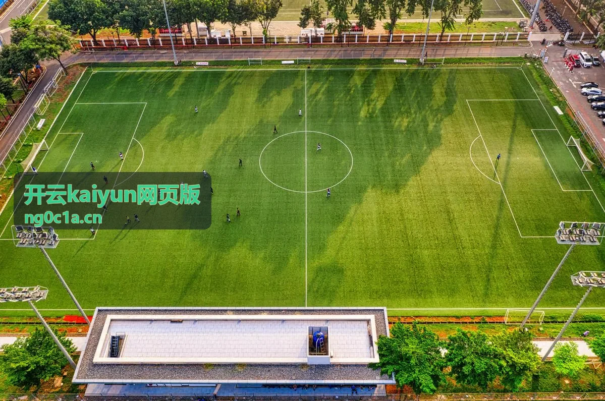 开云kaiyun网页版入口指南流程示意